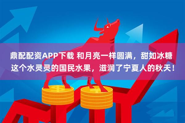 鼎配配资APP下载 和月亮一样圆满，甜如冰糖 这个水灵灵的国民水果，滋润了宁夏人的秋天！