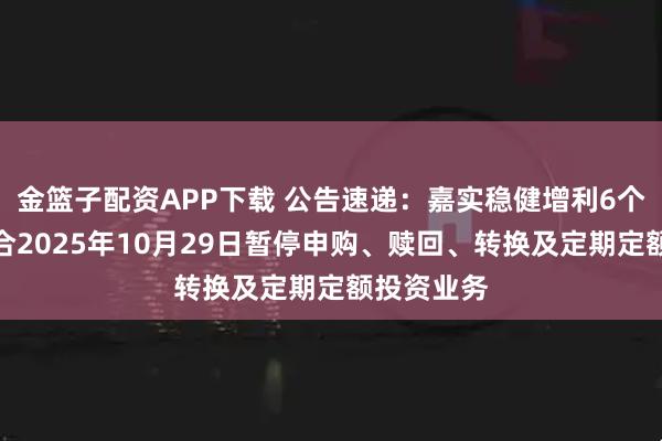 金篮子配资APP下载 公告速递：嘉实稳健增利6个月持有混合2025年10月29日暂停申购、赎回、转换及定期定额投资业务