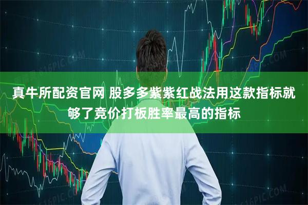 真牛所配资官网 股多多紫紫红战法用这款指标就够了竞价打板胜率最高的指标