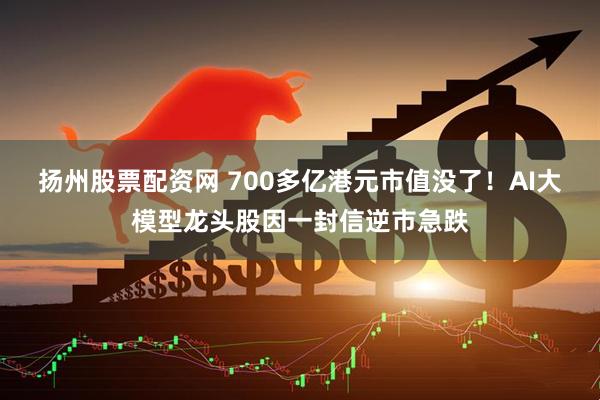 扬州股票配资网 700多亿港元市值没了!AI大模型龙头股因一封信逆市急跌